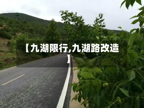 【九湖限行,九湖路改造】