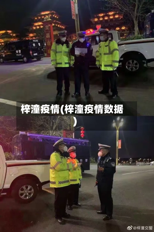 梓潼疫情(梓潼疫情数据)