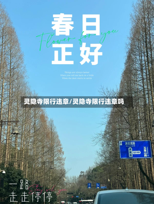 灵隐寺限行违章/灵隐寺限行违章吗