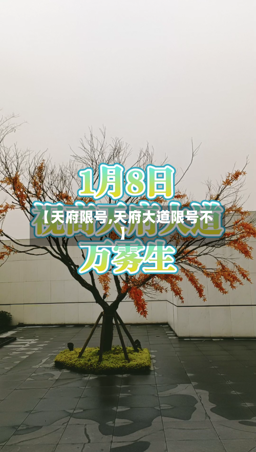 【天府限号,天府大道限号不】