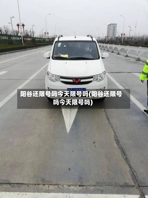 阳谷还限号吗今天限号吗(阳谷还限号吗今天限号吗)