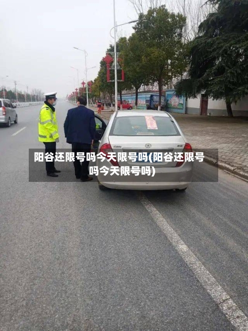 阳谷还限号吗今天限号吗(阳谷还限号吗今天限号吗)-第3张图片