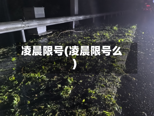 凌晨限号(凌晨限号么)