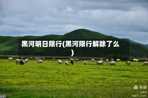 黑河明日限行(黑河限行解除了么)-第2张图片