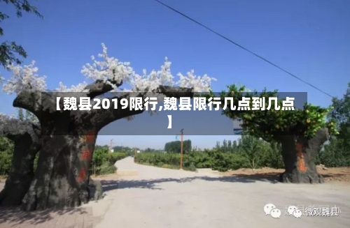 【魏县2019限行,魏县限行几点到几点】