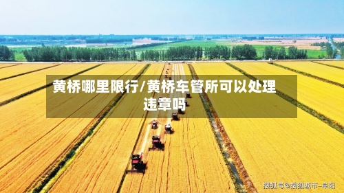 黄桥哪里限行/黄桥车管所可以处理违章吗
