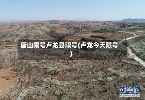唐山限号卢龙县限号(卢龙今天限号)-第3张图片