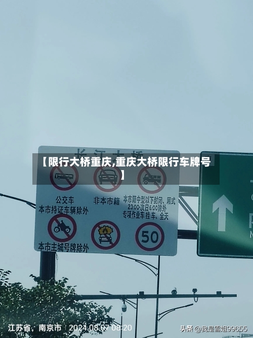 【限行大桥重庆,重庆大桥限行车牌号】