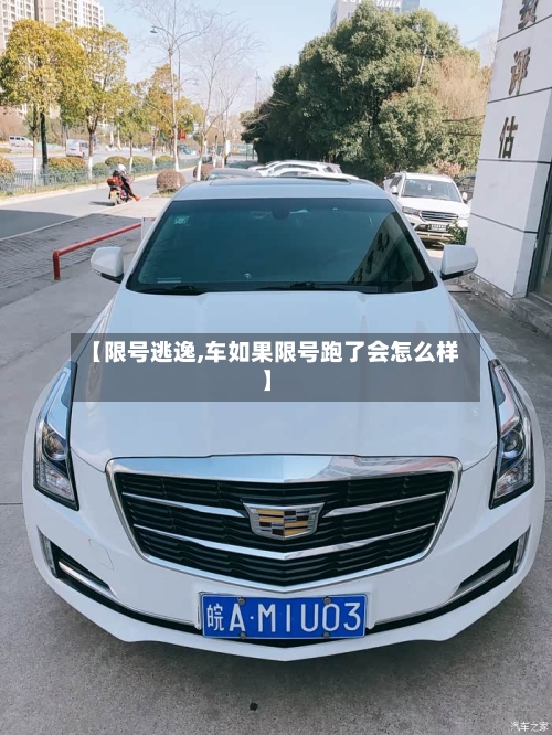 【限号逃逸,车如果限号跑了会怎么样】-第2张图片