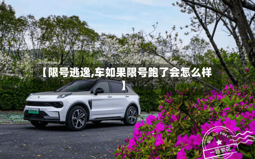 【限号逃逸,车如果限号跑了会怎么样】