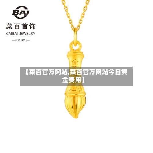 【菜百官方网站,菜百官方网站今日黄金费用】-第2张图片