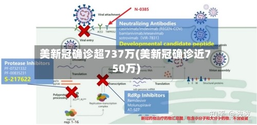 美新冠确诊超737万(美新冠确诊近750万)-第2张图片
