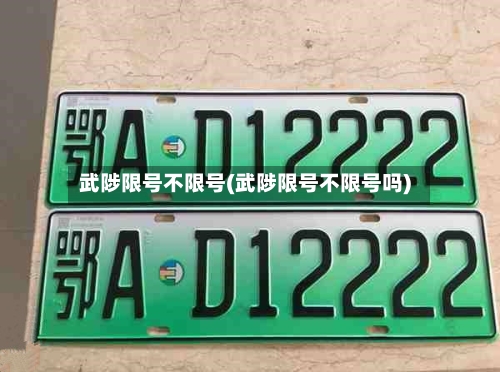 武陟限号不限号(武陟限号不限号吗)-第2张图片