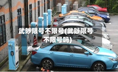 武陟限号不限号(武陟限号不限号吗)-第3张图片