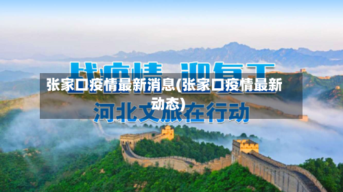 张家口疫情最新消息(张家口疫情最新动态)-第3张图片
