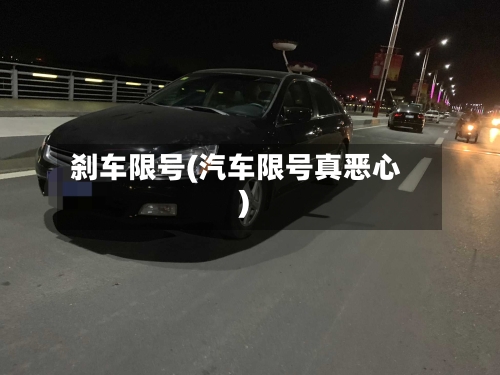 刹车限号(汽车限号真恶心)
