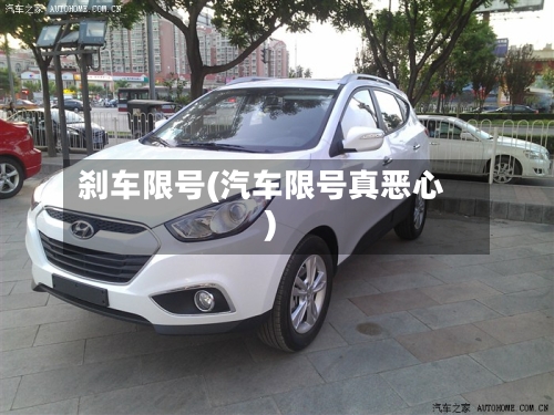 刹车限号(汽车限号真恶心)-第2张图片