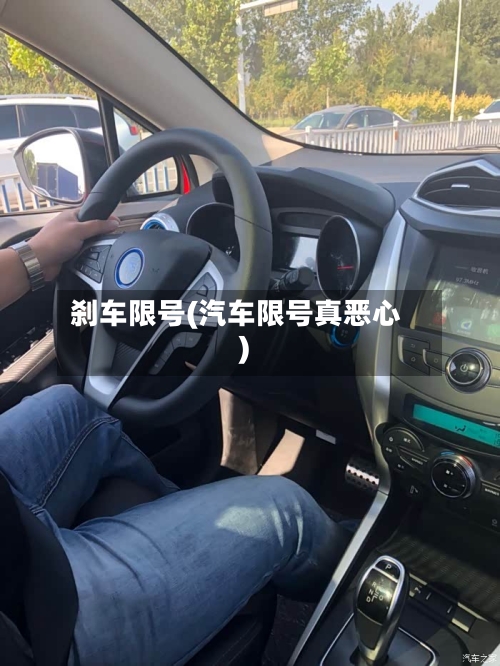 刹车限号(汽车限号真恶心)-第3张图片