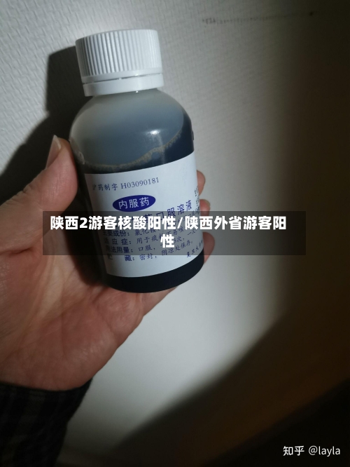陕西2游客核酸阳性/陕西外省游客阳性-第3张图片