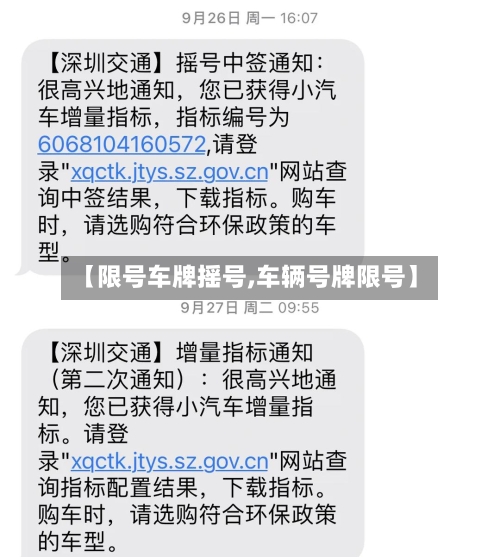 【限号车牌摇号,车辆号牌限号】-第3张图片