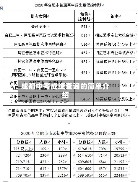 成都中考成绩查询的简单介绍