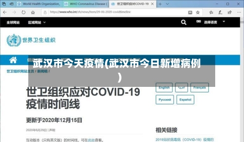 武汉市今天疫情(武汉市今日新增病例)-第2张图片
