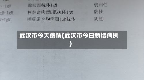 武汉市今天疫情(武汉市今日新增病例)