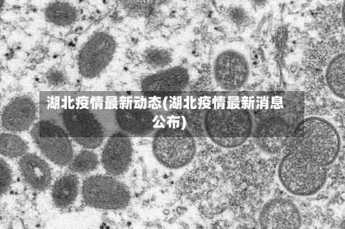 湖北疫情最新动态(湖北疫情最新消息公布)