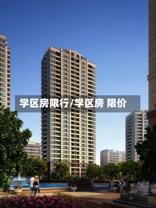 学区房限行/学区房 限价