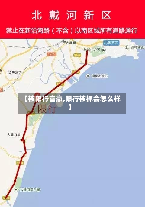 【被限行富豪,限行被抓会怎么样】-第2张图片