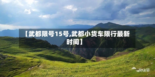 【武都限号15号,武都小货车限行最新时间】-第2张图片