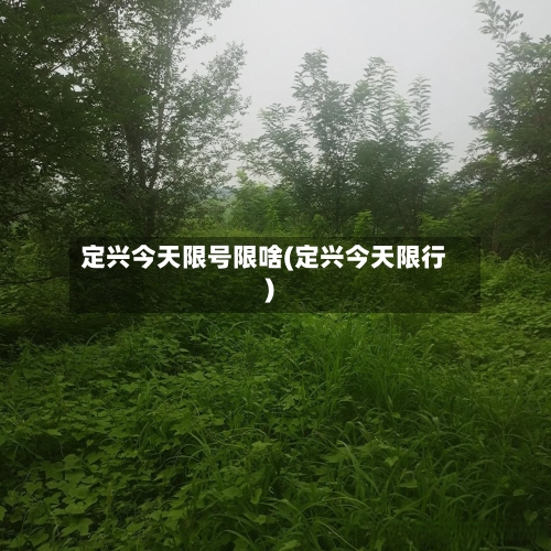 定兴今天限号限啥(定兴今天限行)