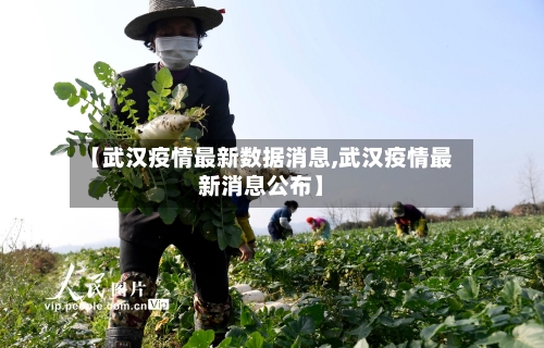 【武汉疫情最新数据消息,武汉疫情最新消息公布】