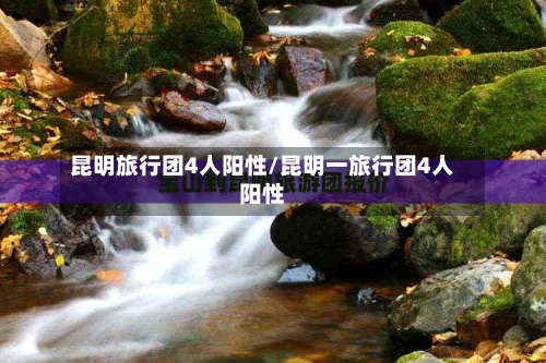 昆明旅行团4人阳性/昆明一旅行团4人阳性