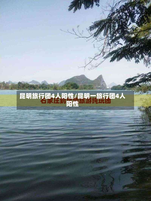 昆明旅行团4人阳性/昆明一旅行团4人阳性-第2张图片
