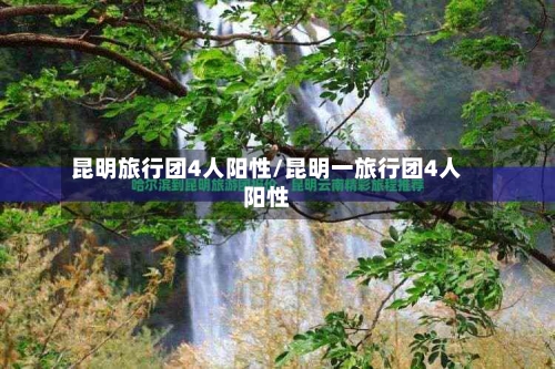 昆明旅行团4人阳性/昆明一旅行团4人阳性-第3张图片
