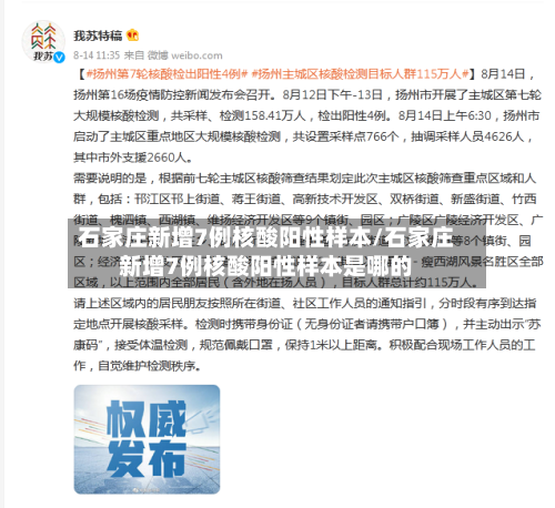 石家庄新增7例核酸阳性样本/石家庄新增7例核酸阳性样本是哪的-第2张图片