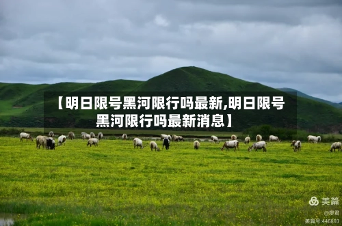 【明日限号黑河限行吗最新,明日限号黑河限行吗最新消息】-第2张图片