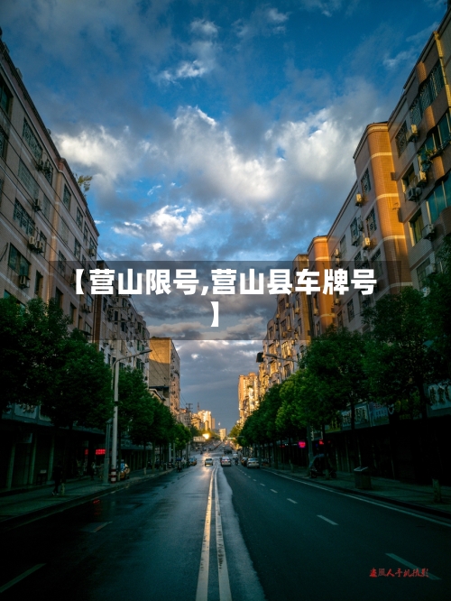 【营山限号,营山县车牌号】-第3张图片