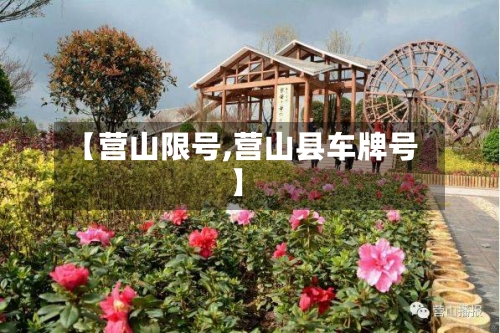 【营山限号,营山县车牌号】