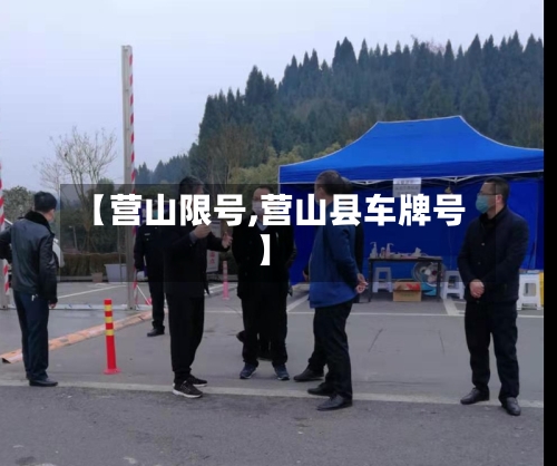 【营山限号,营山县车牌号】-第2张图片