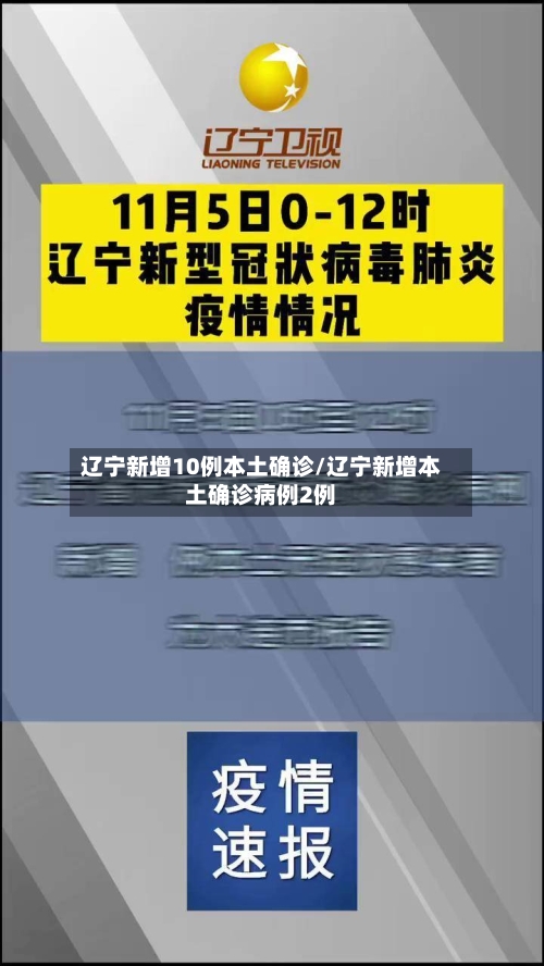 辽宁新增10例本土确诊/辽宁新增本土确诊病例2例-第3张图片