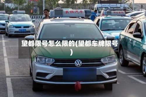 望都限号怎么限的(望都车牌限号)
