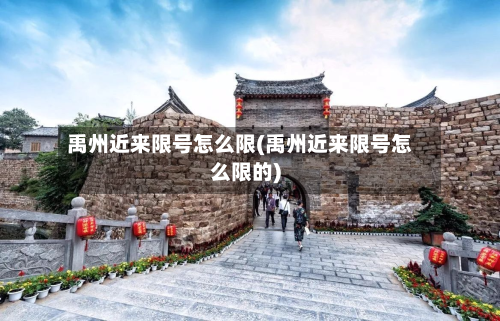 禹州近来限号怎么限(禹州近来限号怎么限的)-第2张图片