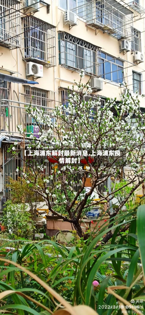 【上海浦东解封最新消息,上海浦东疫情解封】