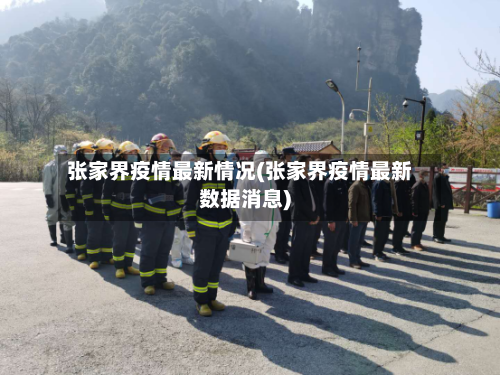 张家界疫情最新情况(张家界疫情最新数据消息)-第3张图片
