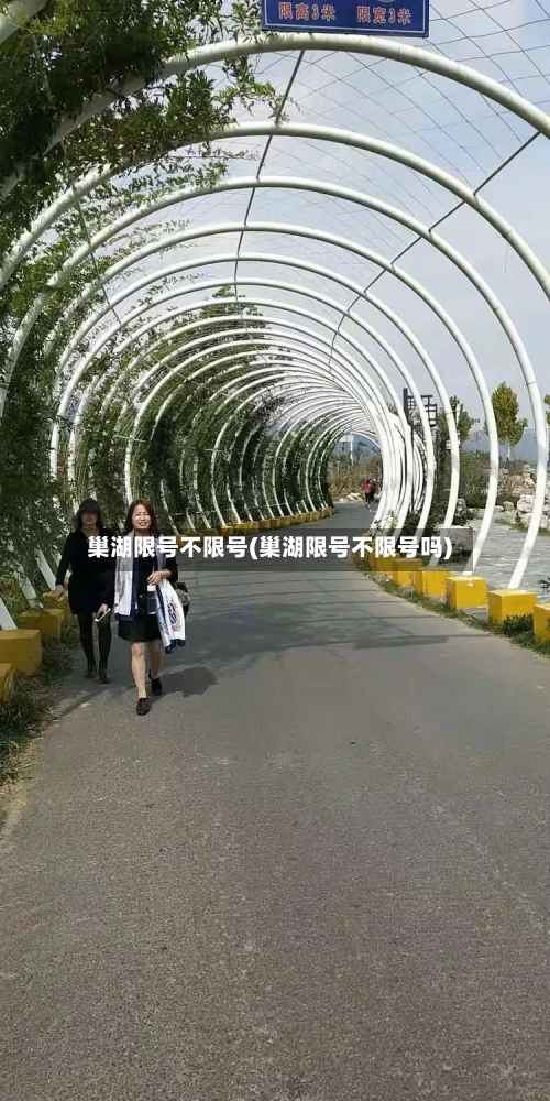 巢湖限号不限号(巢湖限号不限号吗)