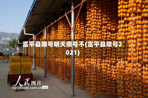 富平县限号明天限号不(富平县限号2021)-第3张图片