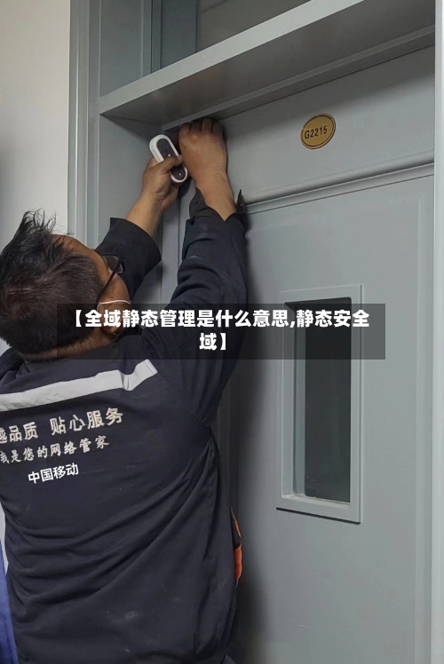 【全域静态管理是什么意思,静态安全域】-第2张图片