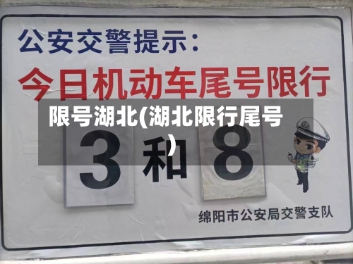 限号湖北(湖北限行尾号)-第3张图片